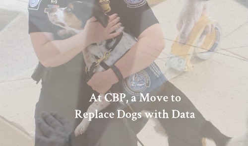 CBP Dogs, AED