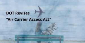 Animals on Airlines