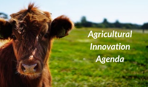 Agricultural Innovation Agenda
