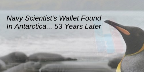 Wallet Returned From Antarctica
